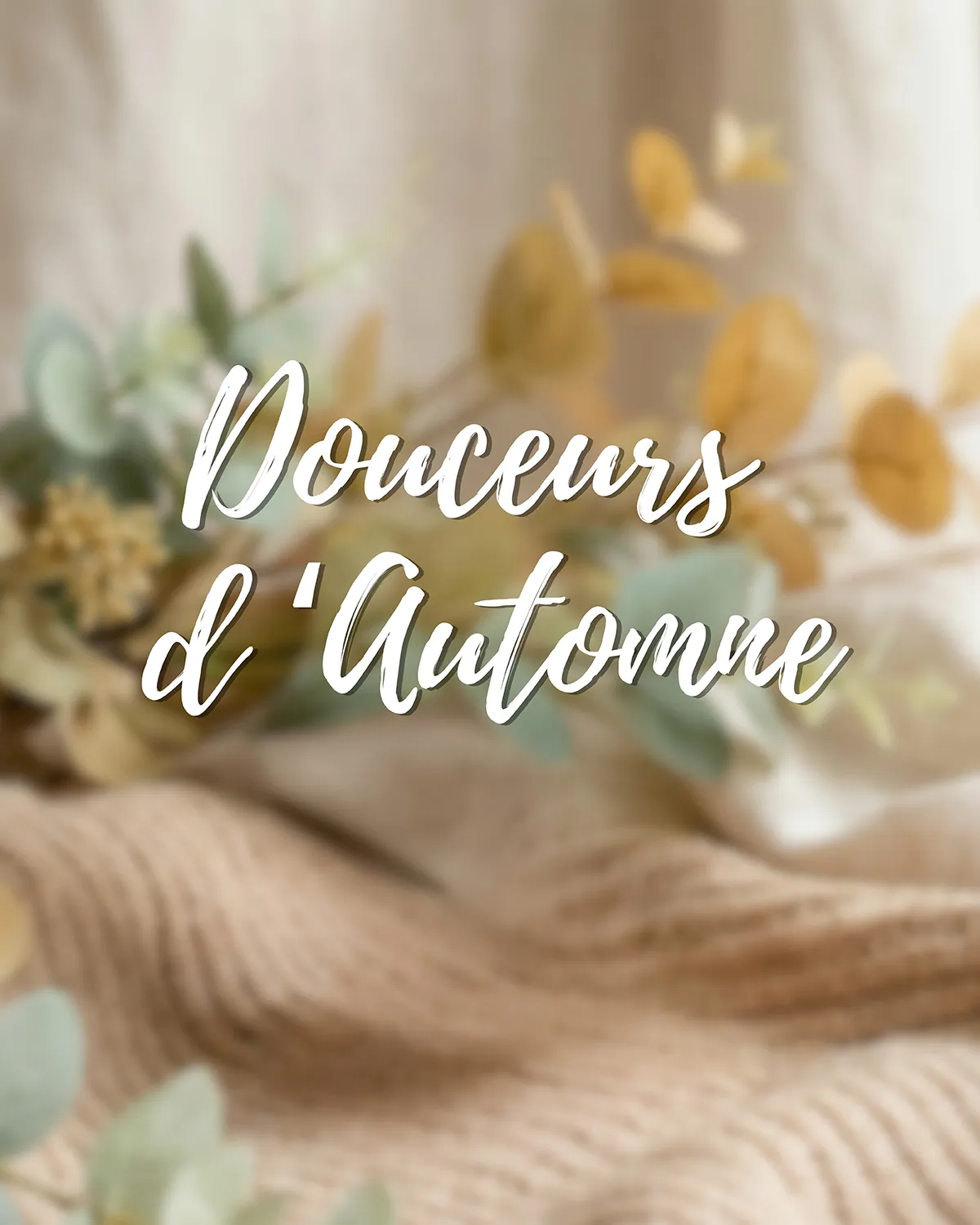 Douceurs d'automne